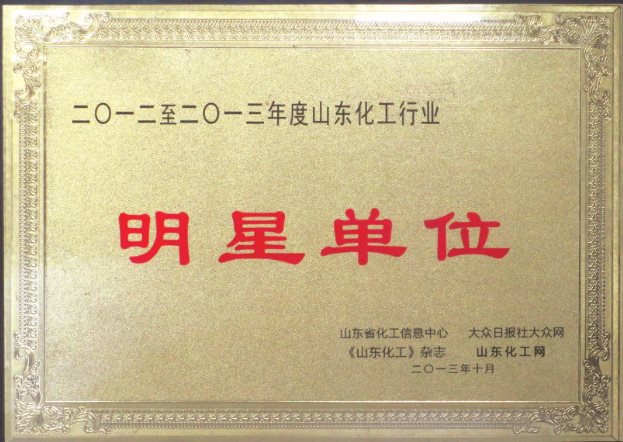 公司獲得“2012—2013年度山東化工行業(yè)明星”稱號(hào).jpg